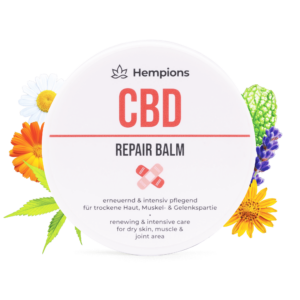 9120095941611 CBD Repair Balm 50ml Main
