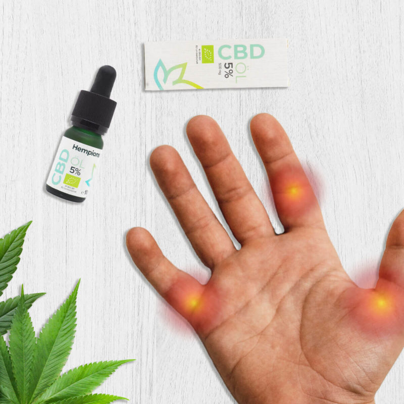 Hanf und CBD: mögliche Wunderwaffe gegen Arthrose?