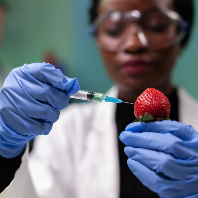 Nahrung der Zukunft Titelbild